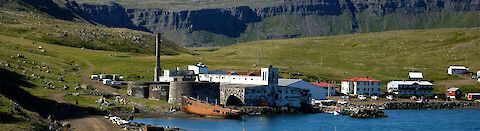 Islandreise_Westfjorde_mit_geführten_Wanderungen_in_abgelegenen_Regionen