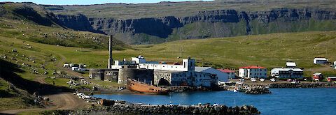 Islandreise_Westfjorde_mit_geführten_Wanderungen_in_abgelegenen_Regionen